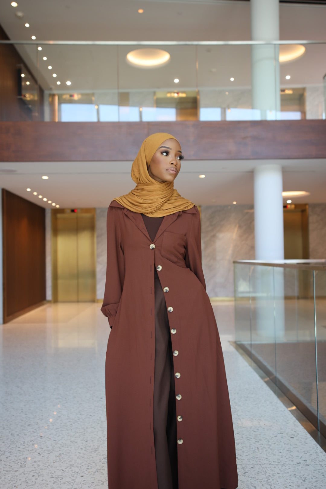 Casual Button Shirt Dress (Brown)